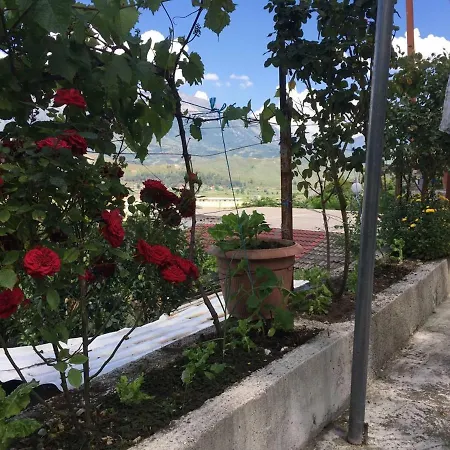 Vishe Guesthouse Gjirokastër